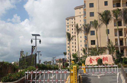 金棕榈住宅幼区